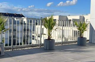Penthouse mieten in 76829 Landau, Penthouse mit 3,5 Zimmern, LGS