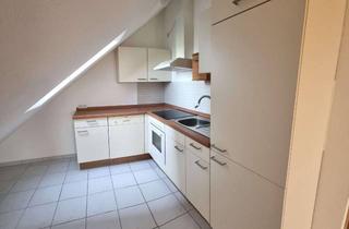 Wohnung mieten in 88339 Bad Waldsee, großzügige sonnige 1-Zimmer-Wohnung in Bad Waldsee-Reute