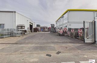 Büro zu mieten in 68766 Hockenheim, Platzmangel? Lagerhalle mit Büro-Modulen auf großem Grundstück!