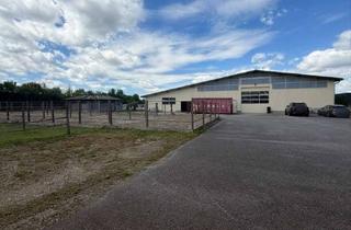 Lager kaufen in 84539 Ampfing, Exklusive Reitsportanlage mit moderner Lagerhalle bei Mühldorf - 388-26