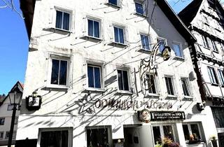 Wohnung mieten in Beim Bad, 72574 Bad Urach, Schöne, renovierte 3-Zimmer-Wohnung im Herzen von Bad Urach