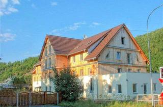 Wohnung mieten in 01768 Glashütte, " Singlewohnung " #2