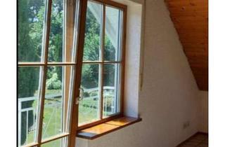 Wohnung mieten in 79295 Sulzburg, Schöne und helle 1-Zimmer-Wohnung mit Balkon und Einbauküche in Sulzburg