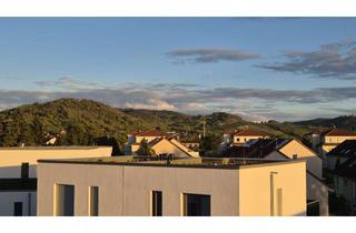 Penthouse mieten in Karl-Kübel-Straße, 64625 Bensheim, exklusives Penthouse: modern, hell, Sonnenterrasse, EBK, FB-Heizung, Klima und mehr, Top-Lage!