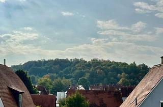 Wohnung mieten in Herlinstraße 22, 86720 Nördlingen, Freundliche 2,5-Zimmer-Wohnung in Nördlingen