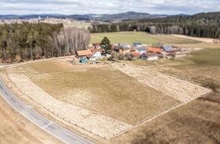 Mehrfamilienhaus kaufen in Zweifelhof, 93492 Treffelstein, 1,7ha - Fast Alleinlage - Mehrfamilienhaus mit 2 Wohnungen