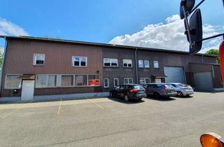 Büro zu mieten in 79423 Heitersheim, Produktions und Lagerhalle mit 750 qm incl. 120 qm Büroeinbau
