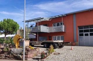 Lager kaufen in 75305 Neuenbürg, Hochwertige Halle mit super Wohnhaus