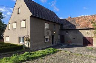 Bauernhaus kaufen in 04618 Langenleuba-Niederhain, Langenleuba-Niederhain - 9.900 QM LAND & AUSBAUPOTENZIAL