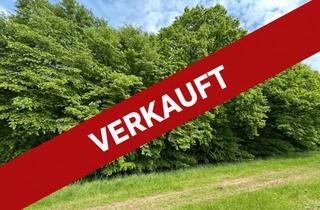 Grundstück zu kaufen in 37284 Waldkappel, Laubwald mit starkem Baumbestand in Waldkappel / 0,7 ha