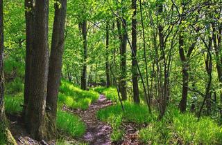 Grundstück zu kaufen in 37284 Waldkappel, Ackerland, Grünland oder Wald zu verkaufen? Dann bin ich der Passende Makler für Ihr Vorhaben!