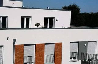 Wohnung mieten in Liselott-Kreidelmeyer-Hof, 21077 Sinstorf, Singlewohnung- große Dachterrasse, 3. OG in der Endetage, Fahrstuhl, ruhige Lage,