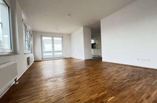 Wohnung mieten in Rheinallee 10, 67061 Süd, Modern & schön geschnitten - wunderschöne Dachterrasse!