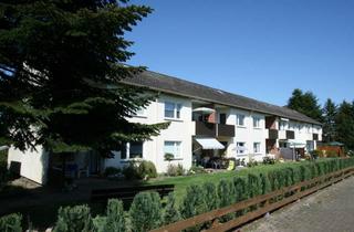 Wohnung mieten in Im Steinbachtal, 27243 Harpstedt, Frei ab 01.12.2026 1-Zimmer-Wohnung im EG mit Terrasse in Harpstedt
