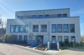 Wohnung mieten in Grüne Straße, 32052 Herford, Moderne 2-Zimmer-Wohnung mit Dachterrasse in Herford