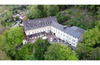 Haus kaufen in 91235 Hartenstein, Großes Anwesen mit drei Gebäuden in exponierter Lage auf 33.600qm Waldgründstück