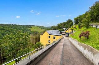 Mehrfamilienhaus kaufen in 54296 Kernscheid, Modernisiertes Mehrfamilienhaus mit Blick ins Grüne