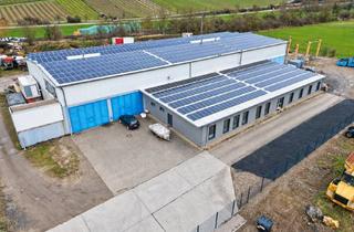 Büro zu mieten in 55569 Monzingen, Industriehalle,Büroflächen, befestigtes Außengelände zu vermieten