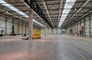 Gewerbeimmobilie mieten in 96317 Kronach, Viel Platz für Ihre Produktion in Kronach