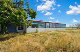 Gewerbeimmobilie mieten in 76571 Gaggenau, Moderne Gewerbehalle im Gewerbegebiets Gaggenau – Ausbau nach Mieterwunsch möglich