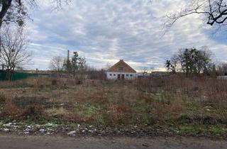 Grundstück zu kaufen in Lüdersdorfer Weg, 16269 Wriezen, Sofort bebaubares und bauträgerfreies Baugrundstück in grüner Lage in Wriezen