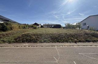 Grundstück zu kaufen in 66646 Marpingen, Attraktives Baugrundstück in ruhiger Lage von Marpingen-Alsweiler