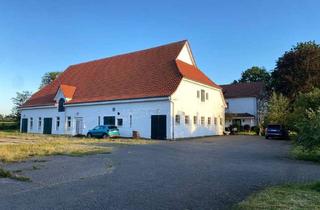Büro zu mieten in Mönkloher Straße 14, 25563 Hingstheide, Gewerbehalle ca. 215 m² mit Büro, Küche & großer Hoffläche