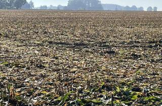 Gewerbeimmobilie kaufen in 48249 Dülmen, Bestes Ackerland in Dülmen-Welte