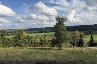 Wohnung mieten in Rappen, 87782 Unteregg, Große Wohnung mit Panoramablick