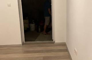 Wohnung mieten in Muckensturmer Straße 10, 68542 Heddesheim, Ab sofort steht eine frisch sanierte 2-Zimmer-Wohnung in 68542 Heddesheim