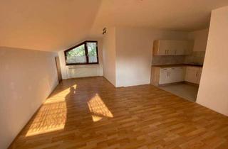 Wohnung mieten in Lauterberger Straße 40a, 38700 Braunlage, Modernisierte 2-Zimmer-Wohnung in Braunlage zum 01.01.2027 frei