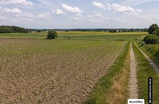 Immobilie kaufen in 56204 Hillscheid, Land-/Forstgrundstück Hillscheid - Ihre Chance ohne Maklerprovision!