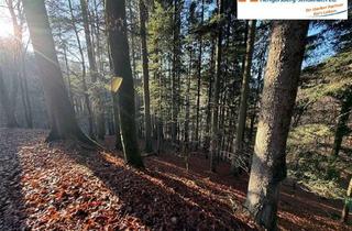 Immobilie kaufen in 94547 Iggensbach, Waldfläche in Schöllnstein bei Iggensbach
