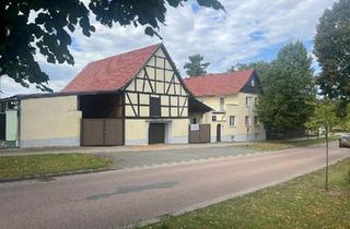 Einfamilienhaus kaufen in 06493 Ballenstedt, Ballenstedt - Großzügiges Einfamilienhaus, auch als Zweifamilienhaus nutzbar