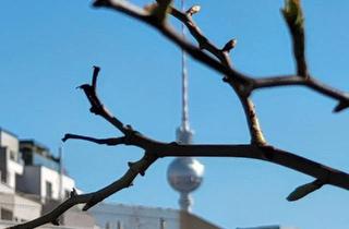 Wohnung kaufen in 13403 Berlin, Berlin - Eigentumswohnung Berlin - provisoinsfrei