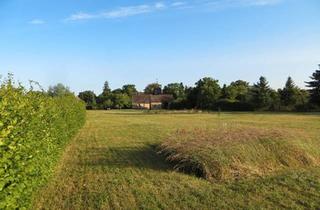 Bauernhaus kaufen in 03172 Guben, Guben - Historisches Bauernhaus im Naturpark Schlaubetal