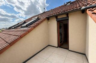 Wohnung kaufen in Untere Goldbergstraße 31, 97080 Würzburg, würzburg - Nur 10 Minuten zur Uni Klinik - Für Eigennutzer und Studenten, 2 Zimmer, Loggia, TG Stellplatz