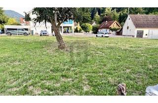 Grundstück zu kaufen in 79244 Münstertal, Münstertal - 1976 M² & ZWEI GROSSE BAUFENSTER