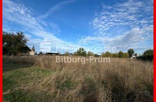 Grundstück zu kaufen in 54636 Wißmannsdorf, Flaches Baugrundstück in schönem Wohngebiet