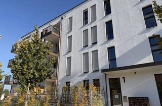 Wohnung mieten in 85276 Pfaffenhofen, Moderne 2-ZKB im EG mit Süd-Terrasse, Fußbodenhz., elek. Rollläden, Videosprechanl. u. TG!