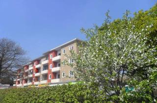 Wohnung mieten in Falkenseer Chaussee 23, 13583 Spandau, Neu und saniert!