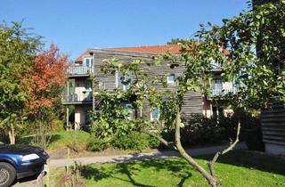 Wohnung mieten in 21481 Lauenburg/Elbe, Lauenburg Stadtmitte Wohnung im Garten