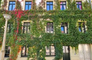 Wohnung mieten in Triftstraße, 06114 Giebichenstein, Mit Video: Süße Single-Wohnung am Landesmuseum!