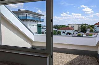Wohnung mieten in 68782 Brühl, Helle Dachgeschosswohnung mit Dachterrasse und Tiefgaragenstellplatz