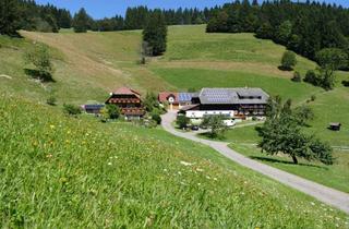 Wohnung mieten in Gipf, 79244 Münstertal, Schwarzwaldhaus in Südlage, mit Blick ins Tal, 2 seperate Wohnungen, 2 Wohnsitz