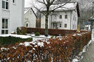 Wohnung mieten in An Der Sieg, 57250 Netphen, Helle 3-Zimmerwohnung,barrierefrei mit Einbauküche