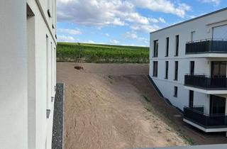 Wohnung mieten in Humperdinckstraße 128, 55543 Bad Kreuznach, Humperdinckpark: 3-Zimmerwohnung, 1. Obergeschoß, Balkon, 1 Tiefgaragen- und 1 Außenstellplatz