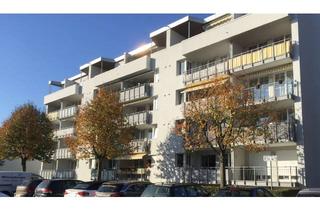 Wohnung mieten in 61130 Nidderau, Hübsche 3-ZW mit zusätzlichem Souterrainzimmer ohne Maklerprovision, frei ab 01.01.2027