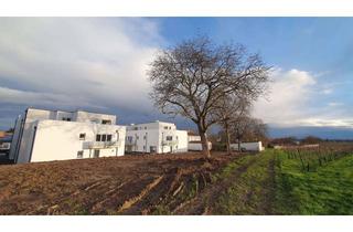 Wohnung mieten in Alzeyer Straße 142, 67592 Flörsheim-Dalsheim, ***Weinbergspanorama*** 3 Zimmer Wohnung