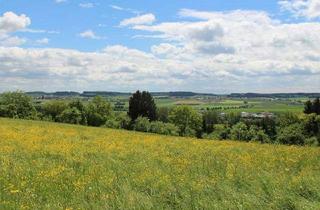 Grundstück zu kaufen in 89616 Rottenacker, Baugrundstück in Rottenacker – sonnige Südhanglage mit Fernblick